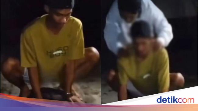 Viral Dua Pemuda Beraksi Konyol, Tunggangi Penyu Hijau di Derawan