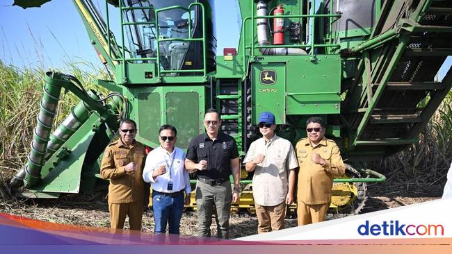 Lahan Berbatu di NTT Disulap Jadi Perkebunan Tebu Produktif