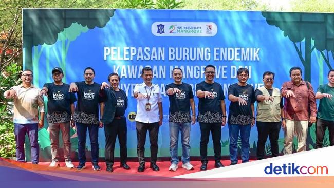 Pemkot Surabaya-BRIN Siapkan Perpustakaan Bakau di Kebun Raya Mangrove