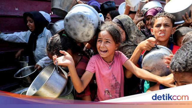 PBB Umumkan Bencana Kelaparan di Gaza, Legislator: RI Tak Boleh Diam