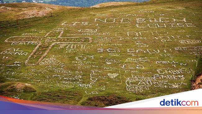Warlok Geram Rombongan Wisatawan Rusak Tanda Salib Jadi Bintang Daud