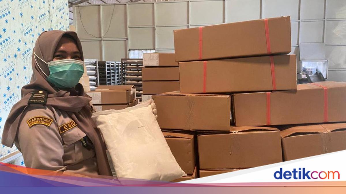 RI Ekspor 260 Ton Santan Beku ke China