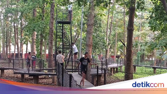Napas Segar, Sejuk, dan Teduh di Hutan Kota Patriot Bina Bangsa Bekasi
