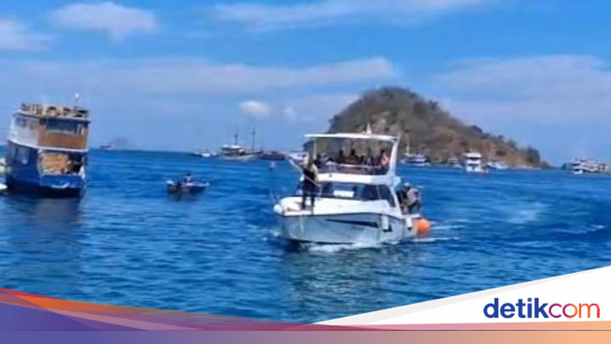 Polemik Kuota Kunjungan TN Komodo, Waspada Mafia Tiket