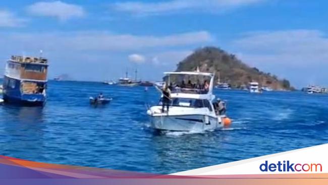 Pilu, Turis Belanda Tewas Saat Diving di TN Komodo