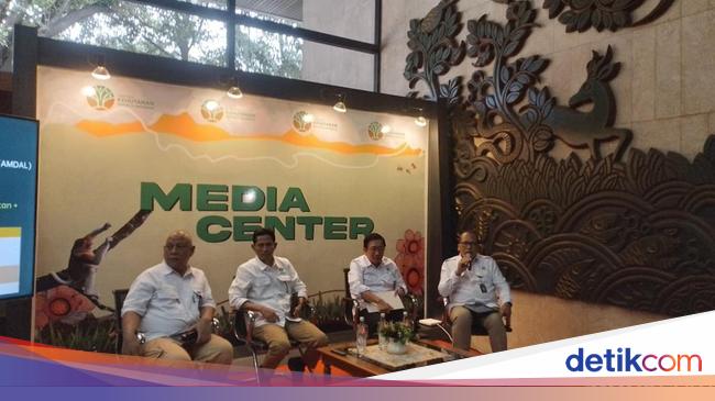 Kejelasan PBPH PT SPS di Pulau Sipora dan Perlindungan Terhadap Hutan Adat