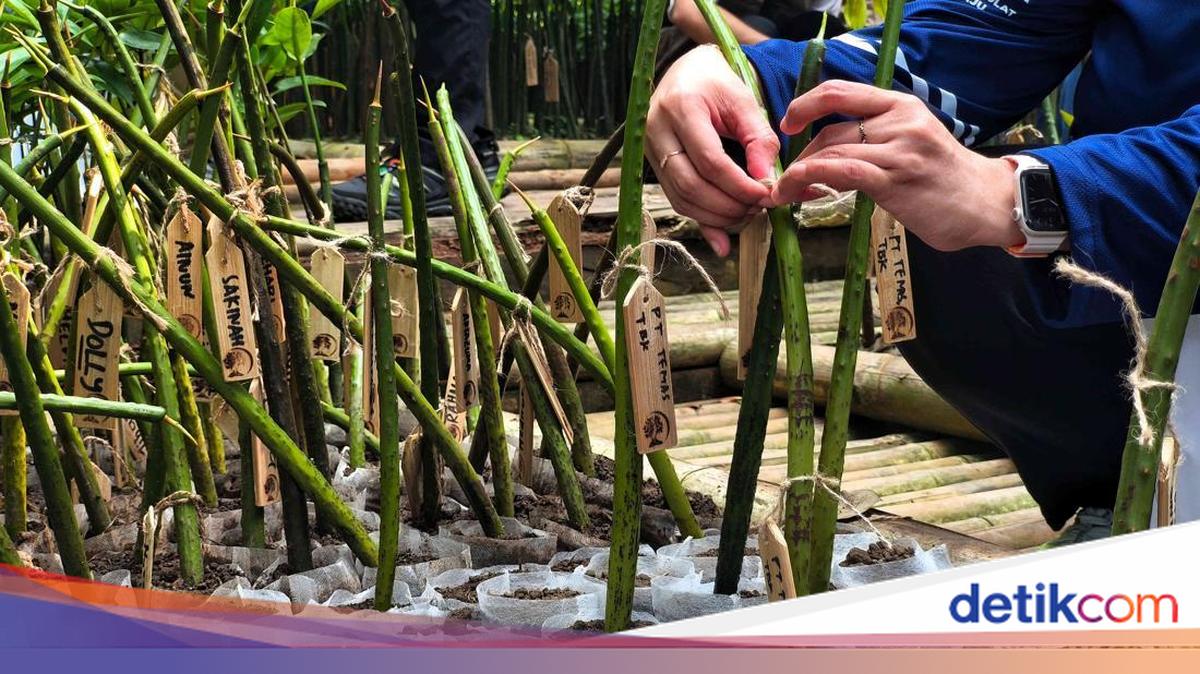 Upaya Pemprov Jakarta Dorong Masyarakat Kenali Ekowisata Berkelanjutan