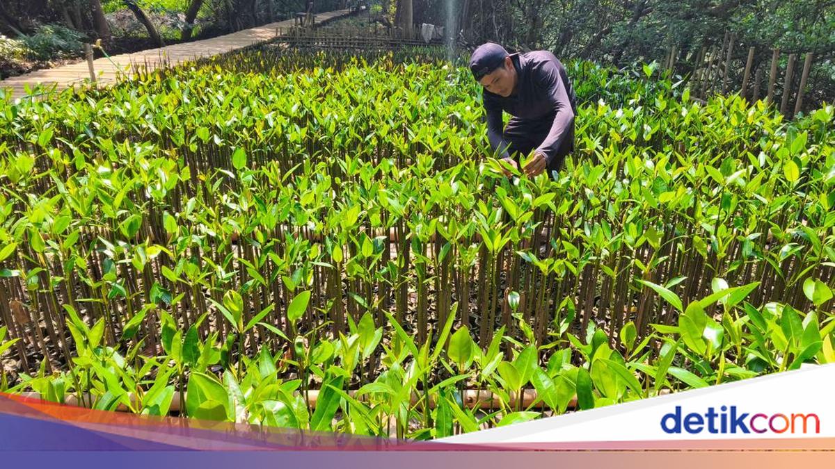 Pemprov Jakarta Promosikan Ekowisata Lewat Jakarta Ecotourism Festival