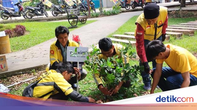 Maxim Ajak Mitra Pengemudi Tanam Pohon-Bersihkan Taman &amp; Pantai