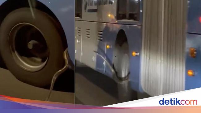 Hiii... Ular Sanca Nongol dari Bodi Bus Kagetkan Pengendara di Jaktim