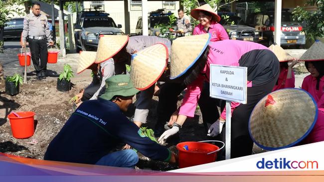 Kapolda Kalteng Pimpin Panen Sayur: Program P2L Terintegrasi dan Berkelanjutan