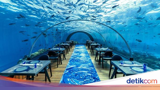Makan di Bawah Laut? 10 Restoran Ini Tawarkan Pemandangan Mempesona