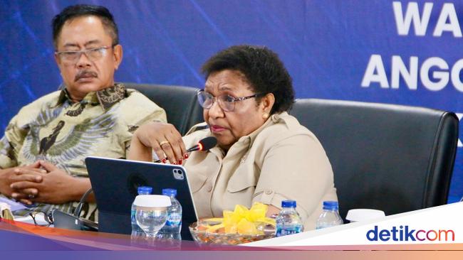Wamendagri Dorong Pemda Pastikan Kualitas SDM di Jabatan Strategis BUMD
