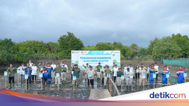 Jaga Lingkungan Berkelanjutan, Pertamina Tanam 800 Pohon Mangrove