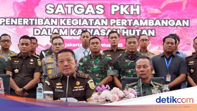 Satgas PKH Akan Tertibkan Tambang Ilegal di Kawasan Hutan