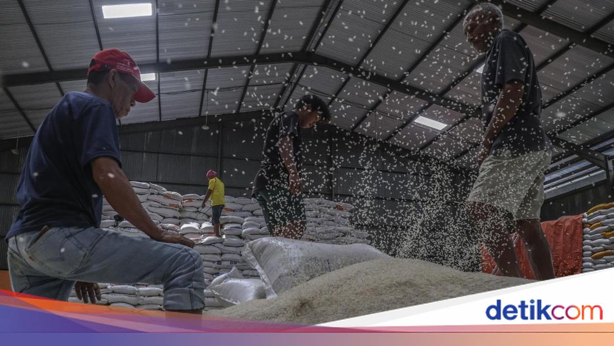 Hampir 30 Ribu Ton Beras di Gudang Bulog Turun Mutu, Paling Banyak dari Impor