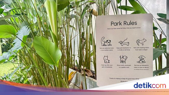 Kafe Pet Friendly di Bogor Ini Punya Es Krim Wasabi dan Pancake Miso
