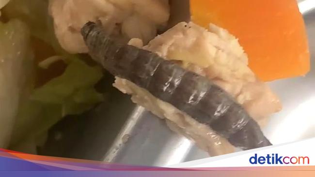 Ada Ulat-Lalat dalam MBG SMPN di Bantul, Kepala SPPG Minta Maaf