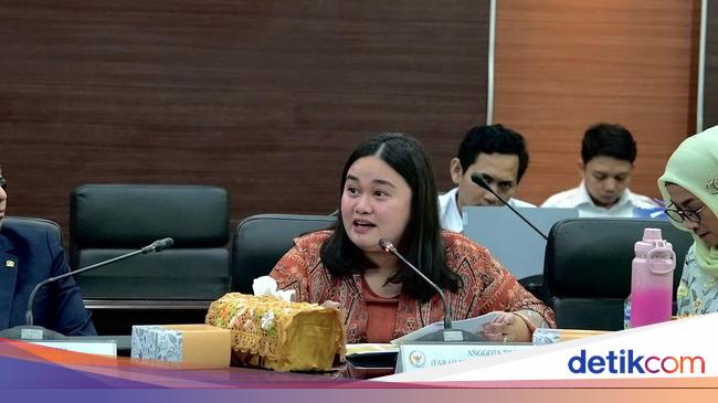 Legislator PAN Dukung 1 Orang 1 Akun Medsos: Penelusuran Penipu Jadi Cepat