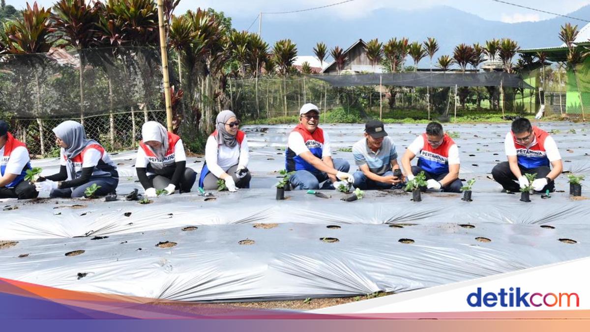 Pertamina Berdayakan Desa Rantau Dedap Lewat Energi Bersih-Wisata Edukasi