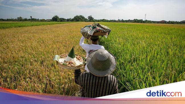 Festival Mbok Sri, Ungkapan Syukur Petani Klaten di Tengah Sawah