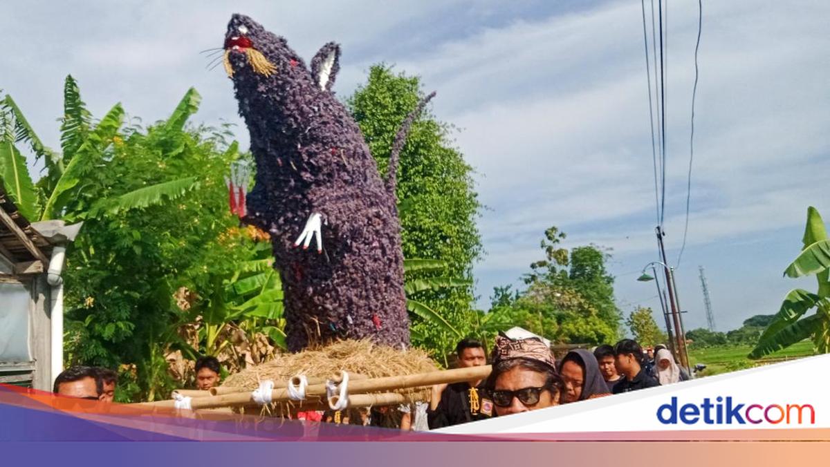 Rahbarning xotinini sikish