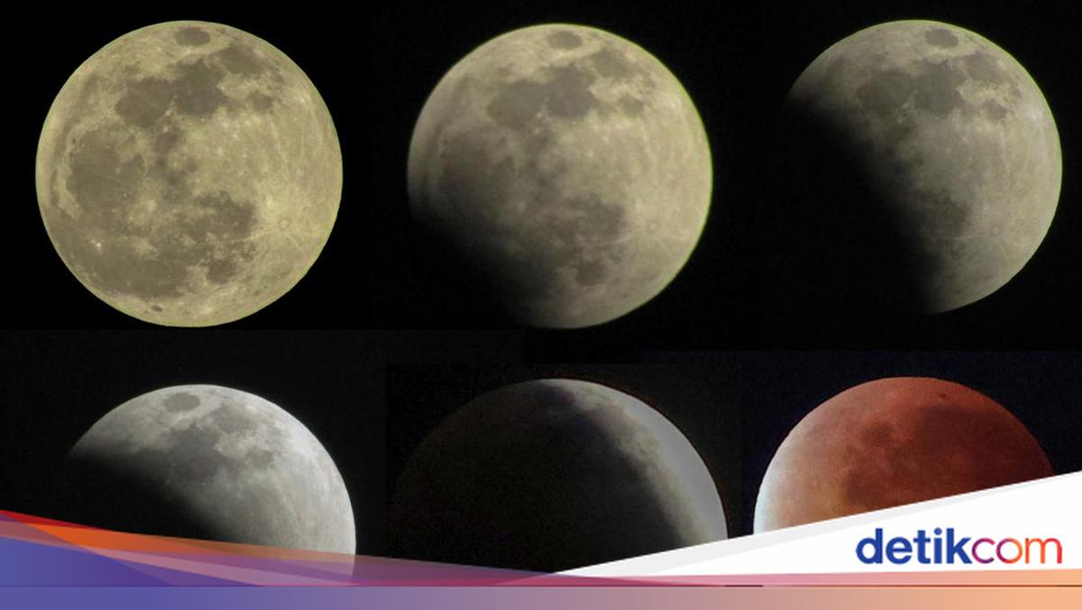 Simak Jadwal Fenomena Gerhana 2026, Bisakah Dilihat di Indonesia?