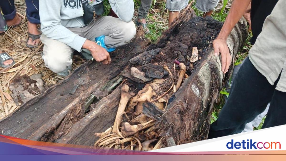 Kerangka Manusia dalam Pohon di Sumut Ternyata Warga Hilang 2 Tahun Lalu