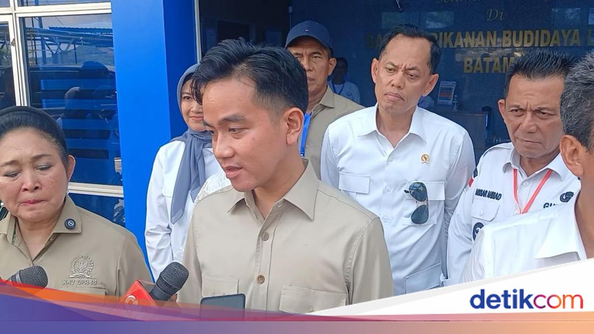 Wapres Gibran Minta Hakim Ad Hoc Dilibatkan di Sidang Air Keras Andrie Yunus