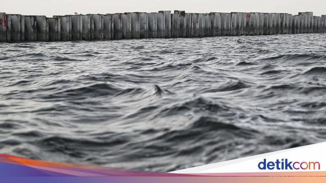 Komisi IV DPR Akan Panggil KKP Minta Penjelasan soal Tanggul Beton di Jakut