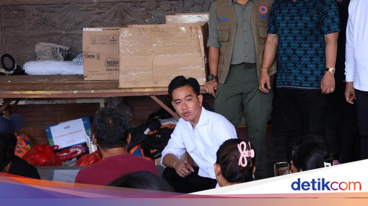 MDIS Sudah Angkat Bicara, PSI Minta Polemik Ijazah Gibran Disetop