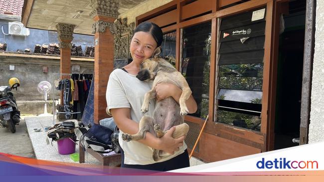 Moka, Anjing yang Dipuji Prabowo karena Bangunkan Warga Saat Banjir Denpasar