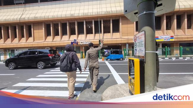 Apa Itu Pelican Cross dan Bedanya dengan Zebra Cross?