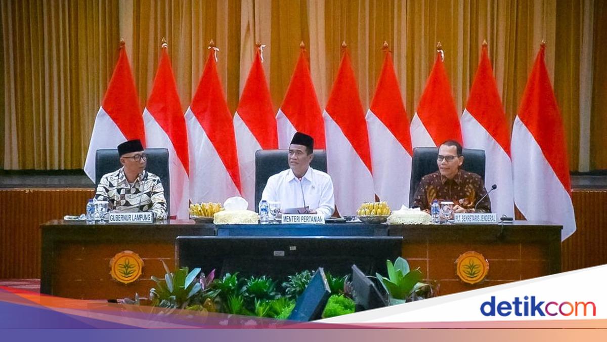 Gubernur Lampung Sambut Baik Pengetatan Impor Etanol &amp; Singkong