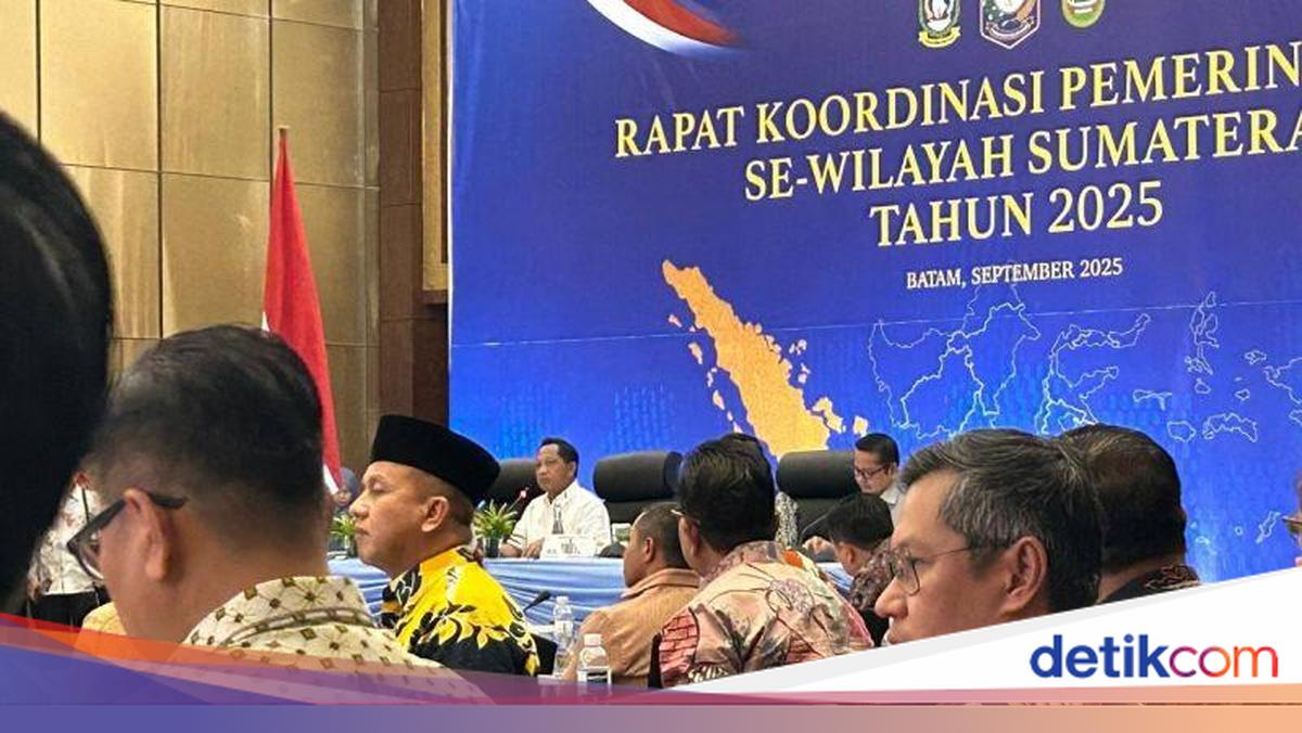 Mendagri Izinkan Kepala Daerah Kunker ke Luar Negeri, Ini Syaratnya