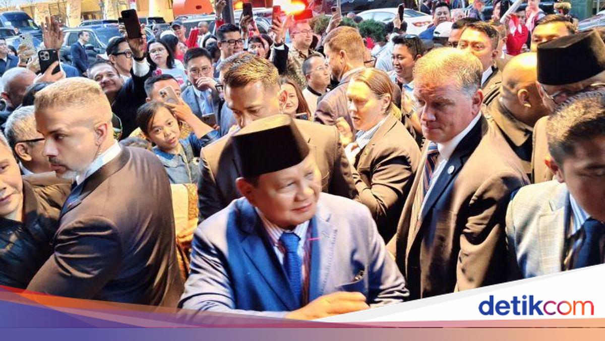 Prabowo Akan Hadiri KTT PBB soal Solusi Dua Negara untuk Palestina
