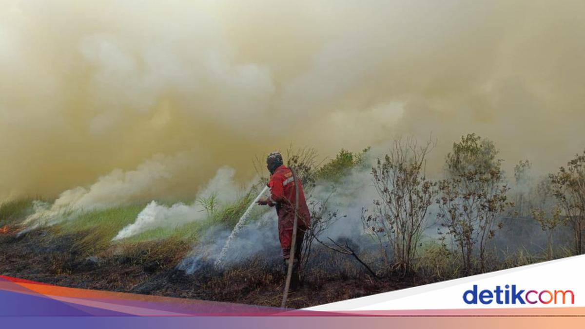 Api Atif Karhutla di Ogan Ilir Masih Menyala, Ada Api Aktif dan Bahan Bakaran ...
