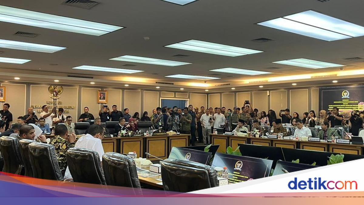 2 Desa di Bogor Dilelang, Dasco Minta Direksi Perhutani Segera Diisi