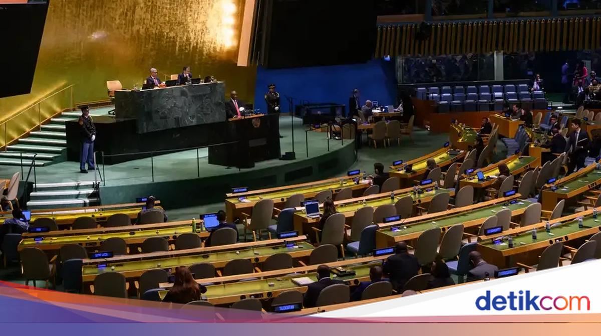 アフリカは国連総会の安全保障理事会の恒久的な議席のために戦う