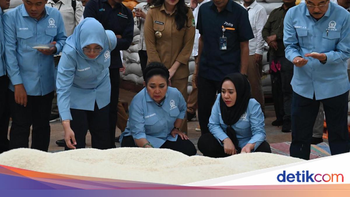 Titiek Soeharto Sidak Gudang Bulog Malut, Temukan Beras Berwarna Abu-Abu