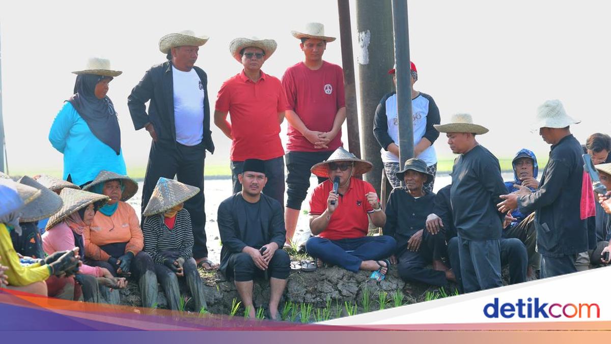 Hasto Ungkap Pesan Megawati di Hari Tani: Pertahankan Lahan Subur