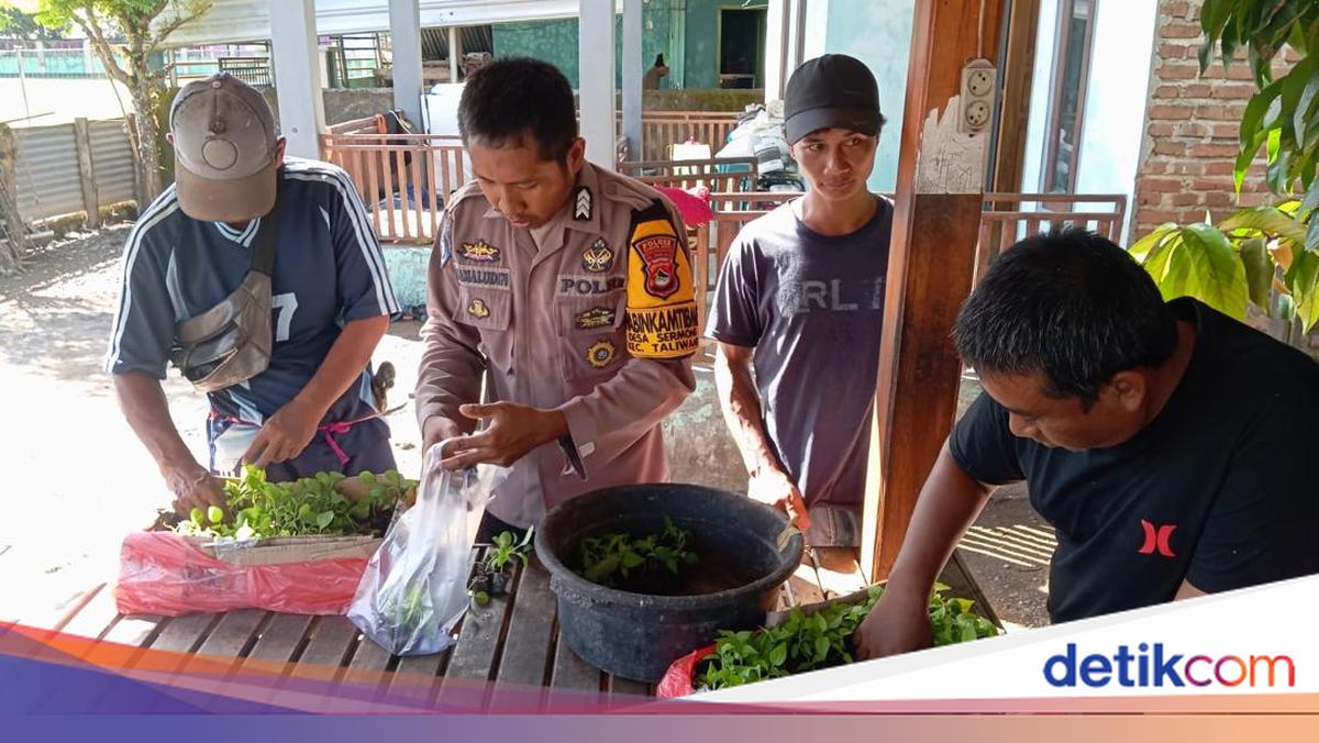 Brigpol Kamaludin Bantu Ekonomi Warga Lewat Program Bina Peternak-Petani
