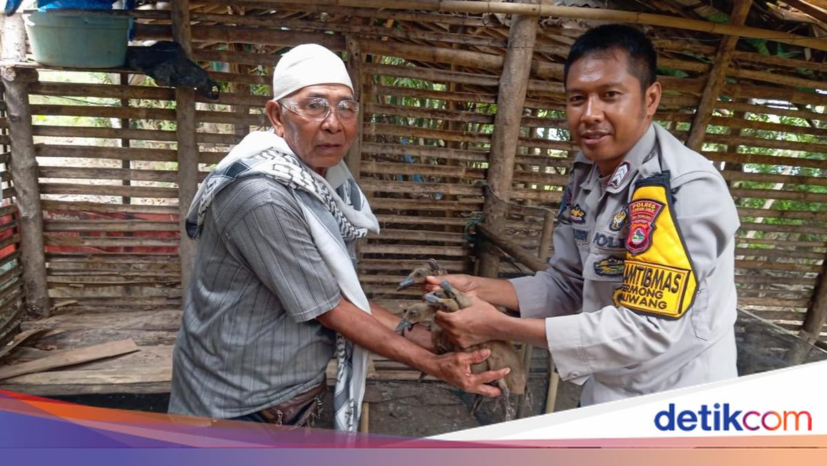 Dedikasi Brigpol Kamaludin di NTB: Berdayakan Warga hingga Atasi Pengangguran