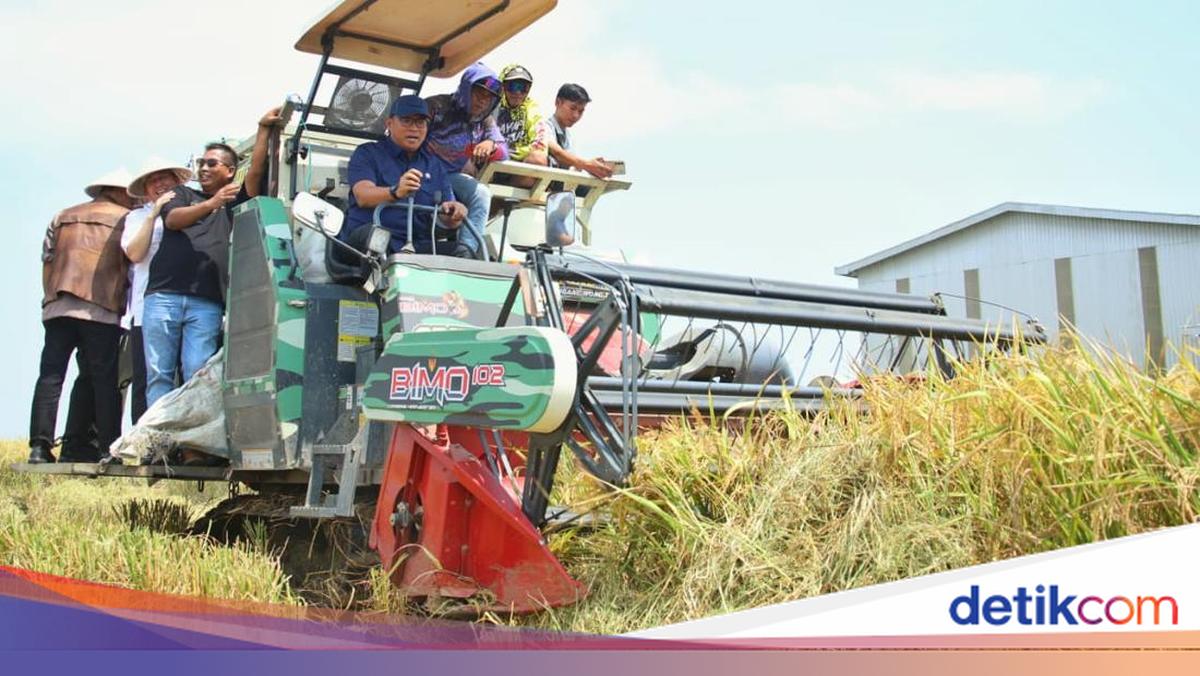 Petani Ungkap Fakta ke Sudaryono, Baru di Era Prabowo Panen Padi Dua Kali