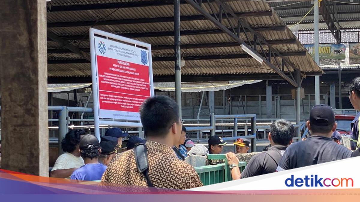 Diduga Cemari 2 Setu di Depok, Kandang dan Rumah Potong Hewan Disegel KLH