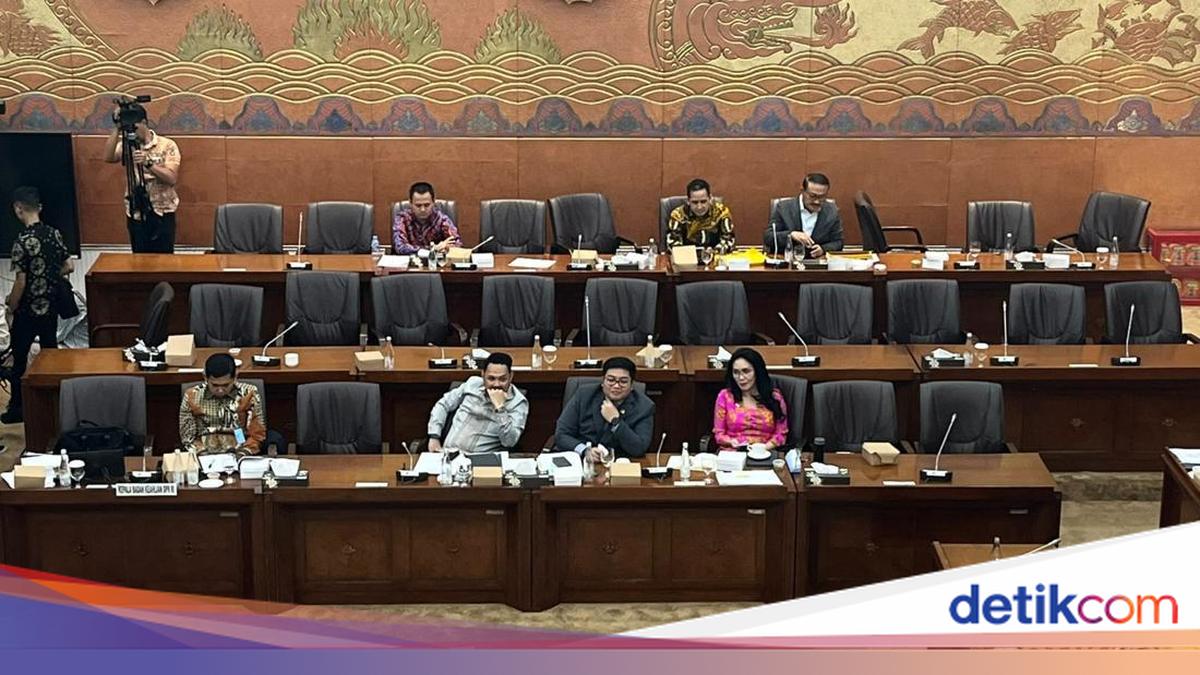 Rapat di DPR, Politikus Gerindra Ini Disebut Cocok Jadi Kepala BP BUMN