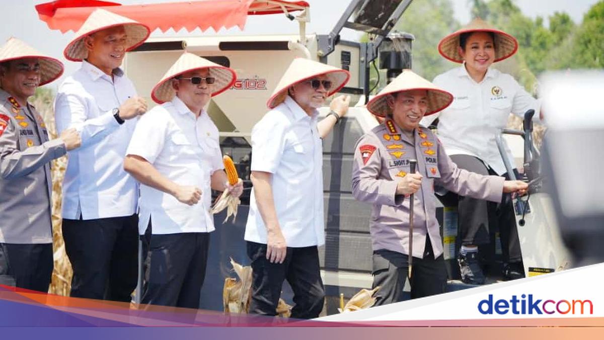 Petani Binaan Polri Panen 2,83 Juta Ton Jagung hingga Pertengahan Oktober 2025