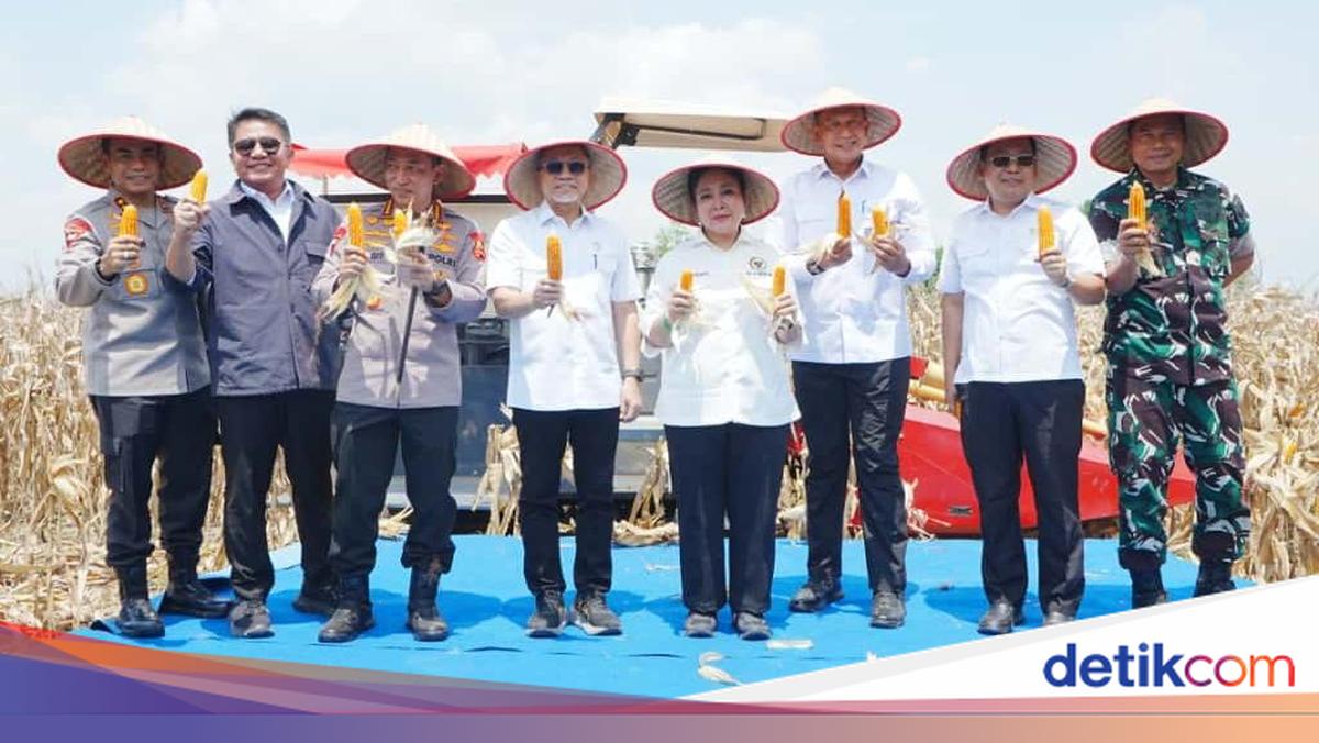 Polri Distribusikan 1.765 Ton Jagung ke Gudang Perum Bulog pada Panen Raya Kuartal III