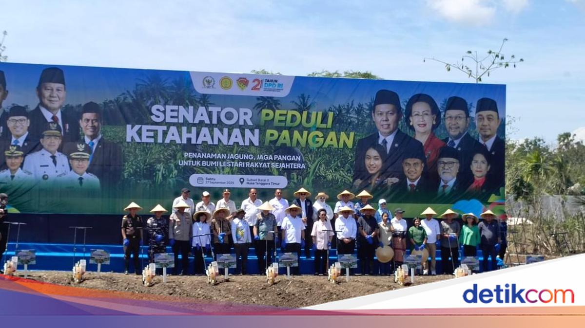 Tanam Jagung di NTT, DPD RI Kawal Asta Cita Presiden di Bidang Pangan
