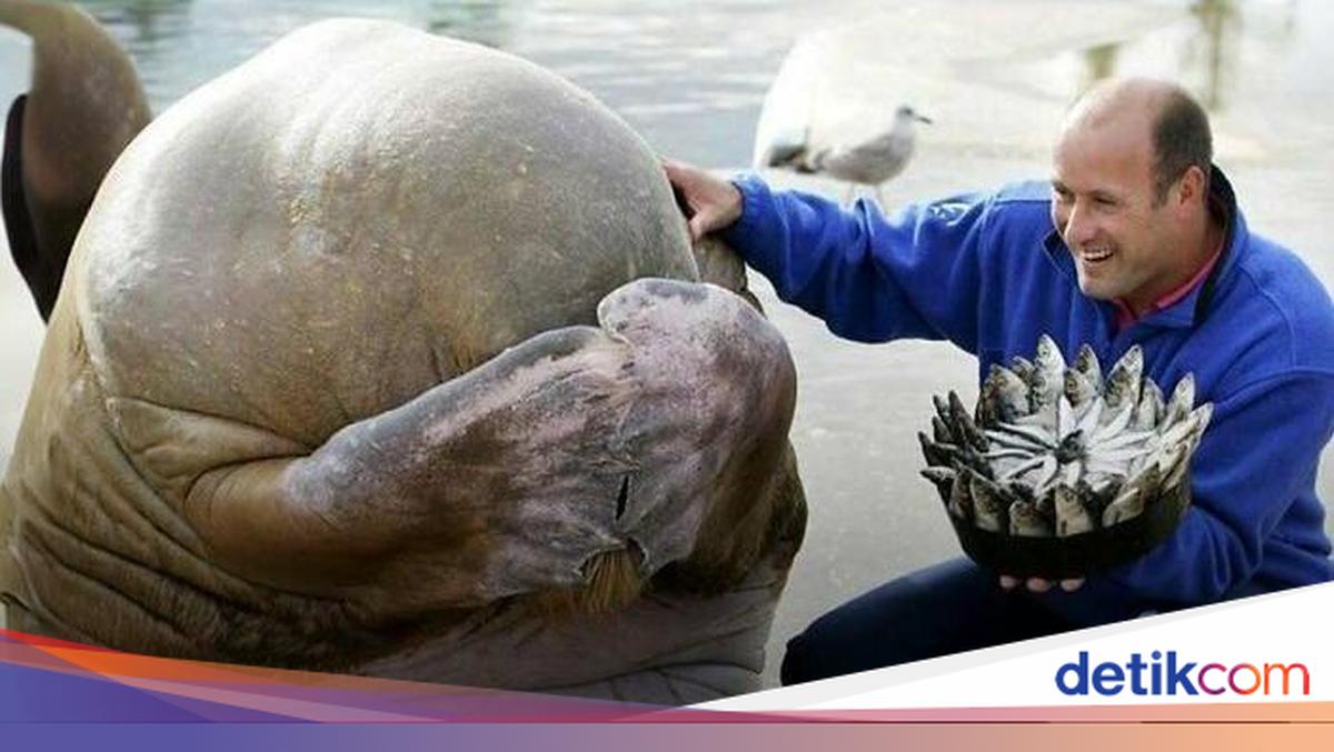 Hal-hal Aneh yang Diposting Orang di Internet, Kamu Mungkin Belum Tahu